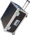 Carrying case with corner castors